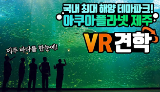 제주도의 아름다운 바다, 한화 아쿠아플라넷 제주!