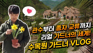 BTS도 다녀간 춘천 핫플! 제이드가든 가드너 브이로그