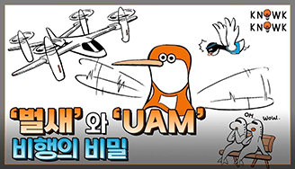 벌새와 UAM 비행의 비밀
