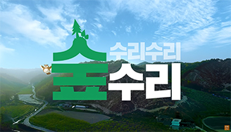 [한화그룹 광고] 태양의 숲 10호: 탄소 마시는 숲 ┃ 경북 봉화편