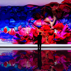 작품사진, LIEFPLUS X REFIK ANADOL - Machine Simulations： Life and Dreams - 희로애락