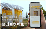 솔라비하이브 이미지