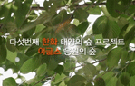 한화 태양의 숲 5호: 이글스 응원의 숲