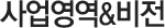 사업영역&비전