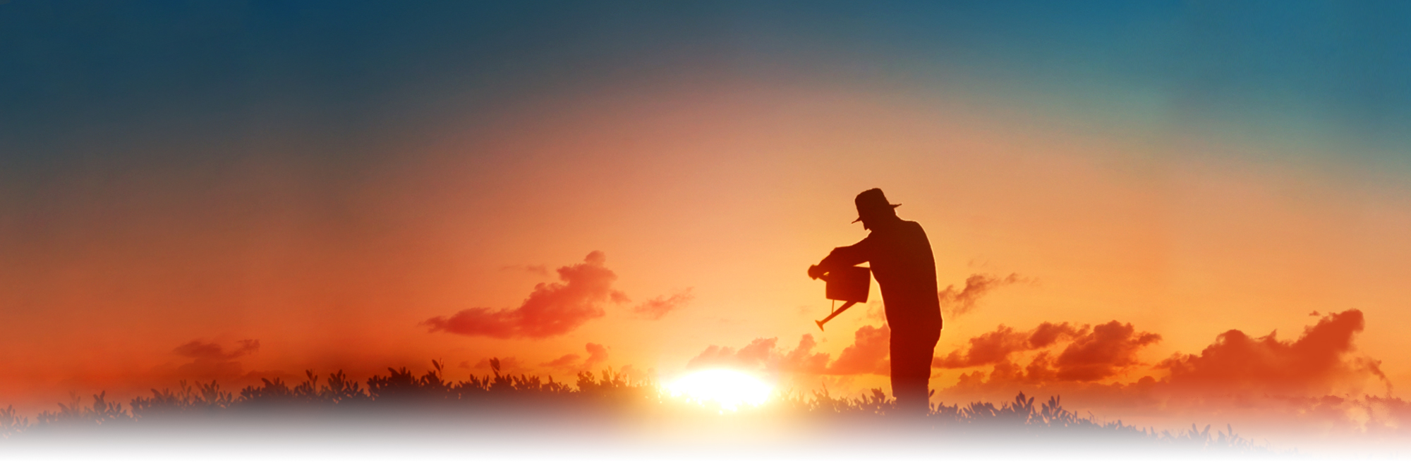 지속가능한 내일, 한화